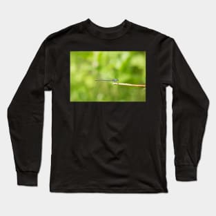 Damsel Long Sleeve T-Shirt